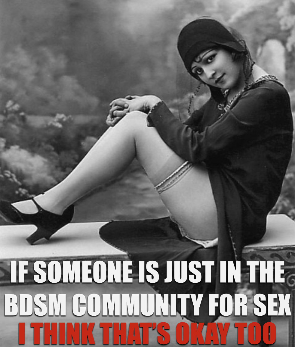 BDSM Meme Just for the
